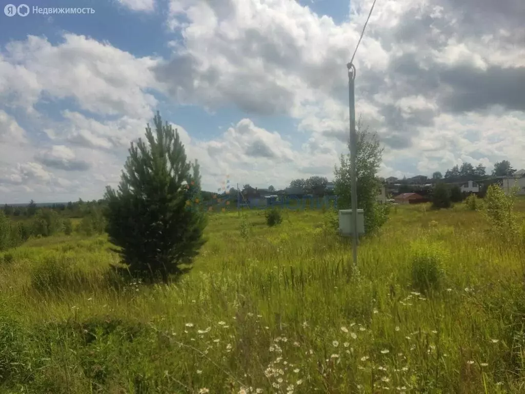 Участок в Нижегородская область, Богородский муниципальный округ, село ... - Фото 0