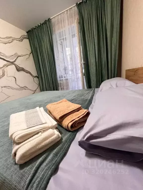 2-к кв. Алтайский край, Барнаул ул. Сергея Семенова, 24 (42.0 м) - Фото 1