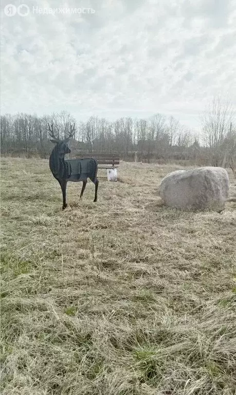 Участок в Кировский район, Шлиссельбург (9.7 м) - Фото 1