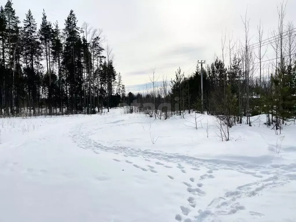Участок в Коми, Сыктывкар городской округ, Краснозатонский пгт ул. ... - Фото 1