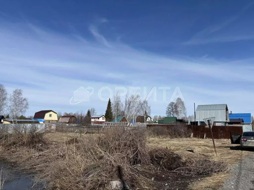 Участок в Тюменская область, Нижнетавдинский район, Виктория ТСН ул. ... - Фото 1