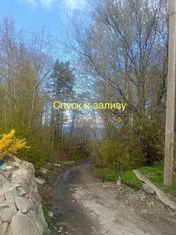 Участок в Ленинградская область, Ломоносовский район, Лебяженское ... - Фото 2