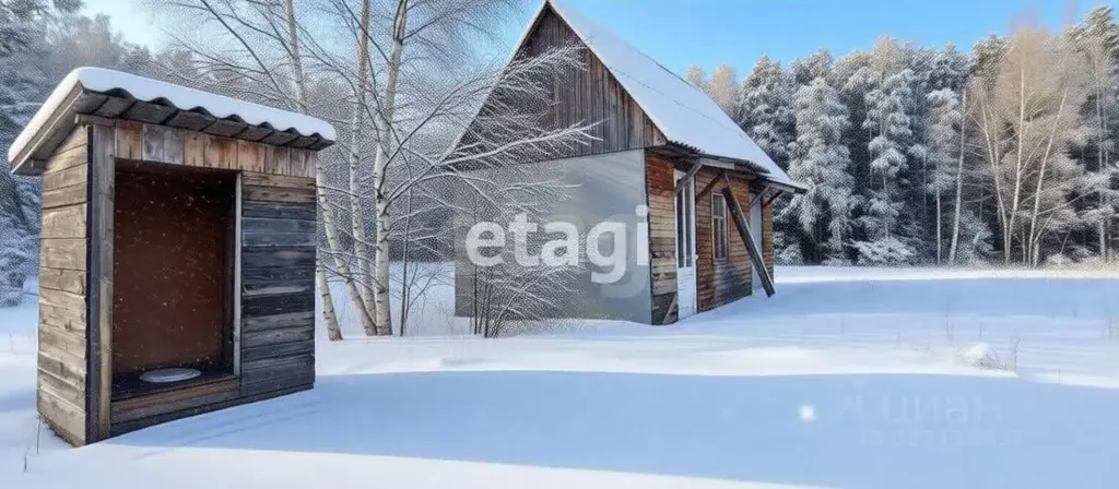Дом в Владимирская область, Петушинский муниципальный округ, Боровиха ... - Фото 1