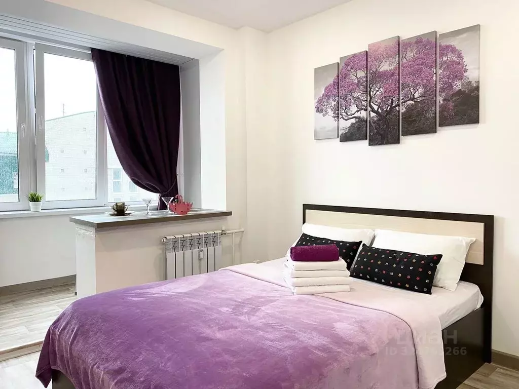 1-к кв. Алтайский край, Барнаул просп. Ленина, 123 (32.0 м) - Фото 2