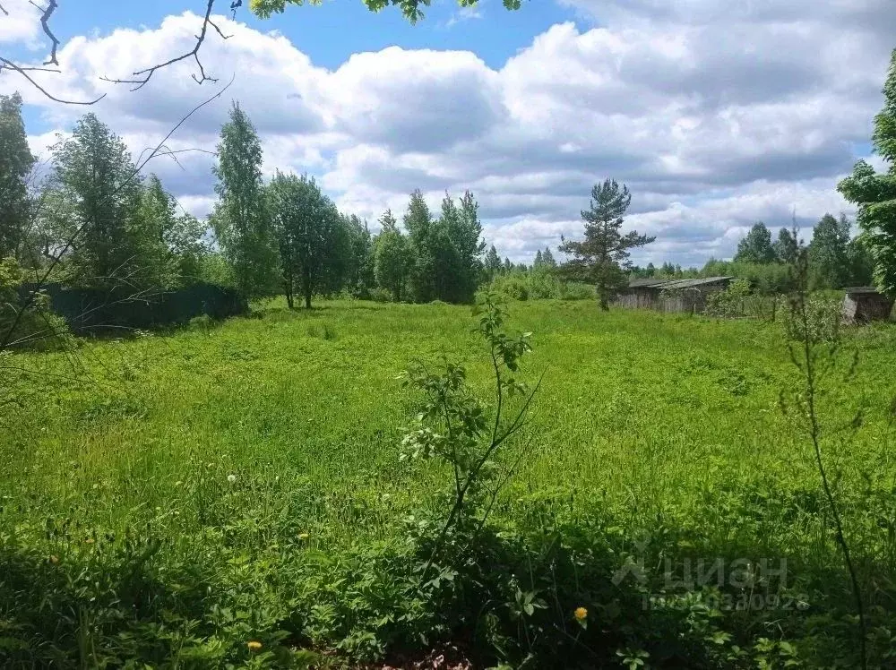 Участок в Тверская область, Оленинский район, д. Лытница  (15.0 сот.) - Фото 1