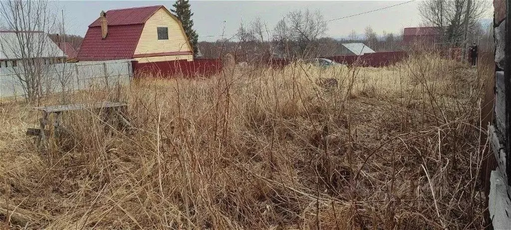 Участок в Камчатский край, Елизовский муниципальный округ, Солнечное ... - Фото 2