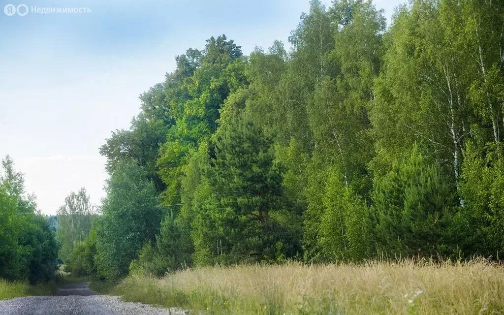 Участок в Московская область, городской округ Ступино, ТСН Починки ... - Фото 2