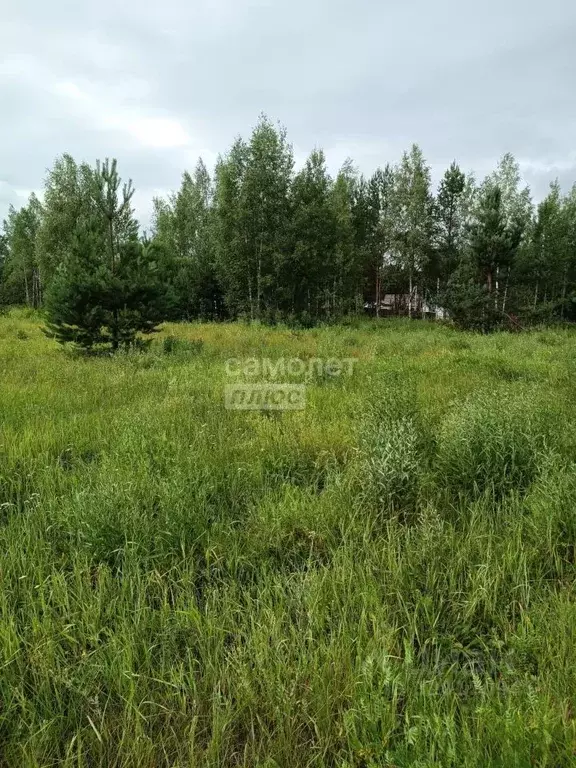 Участок в Владимирская область, Судогодский район, д. Травинино  ... - Фото 1