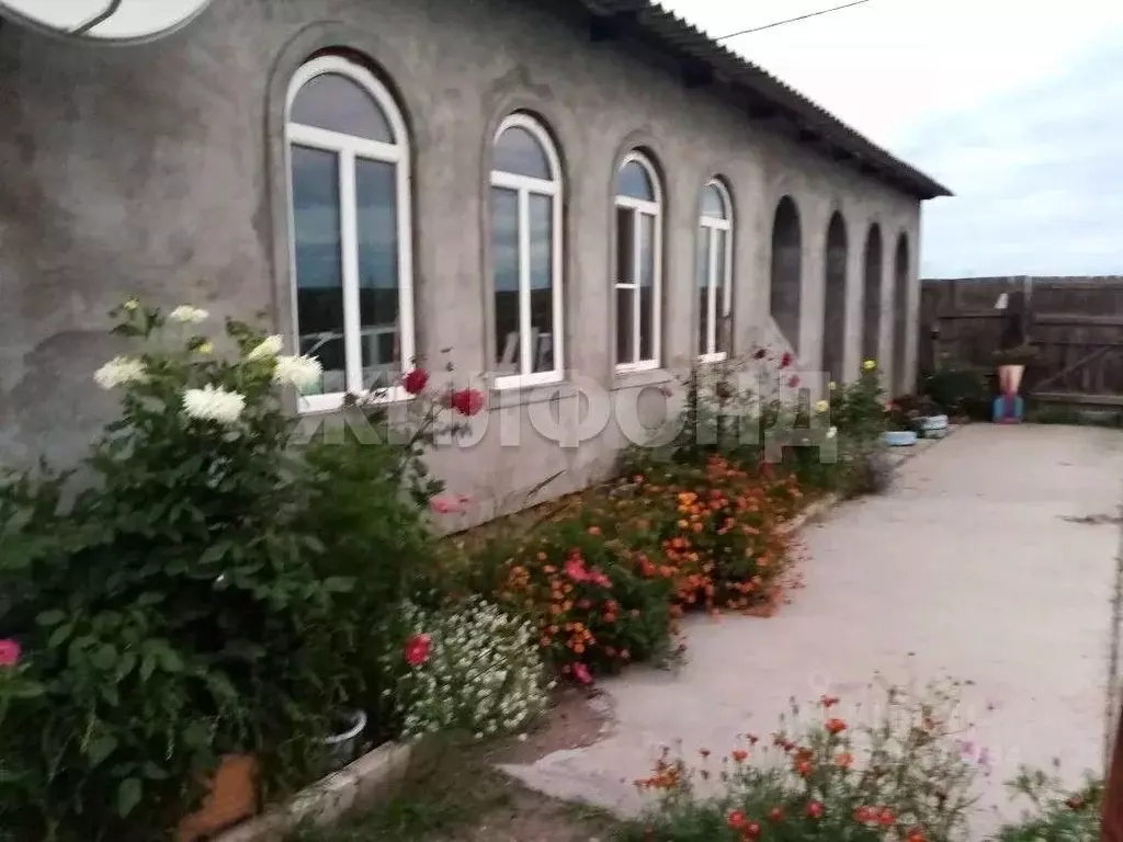 Дом в Забайкальский край, Борзя Байкальская ул. (257 м) - Фото 1