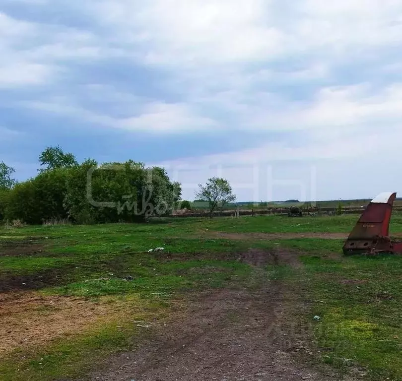 Участок в Амурская область, Благовещенский район, с. Дроново  (25.0 ... - Фото 1