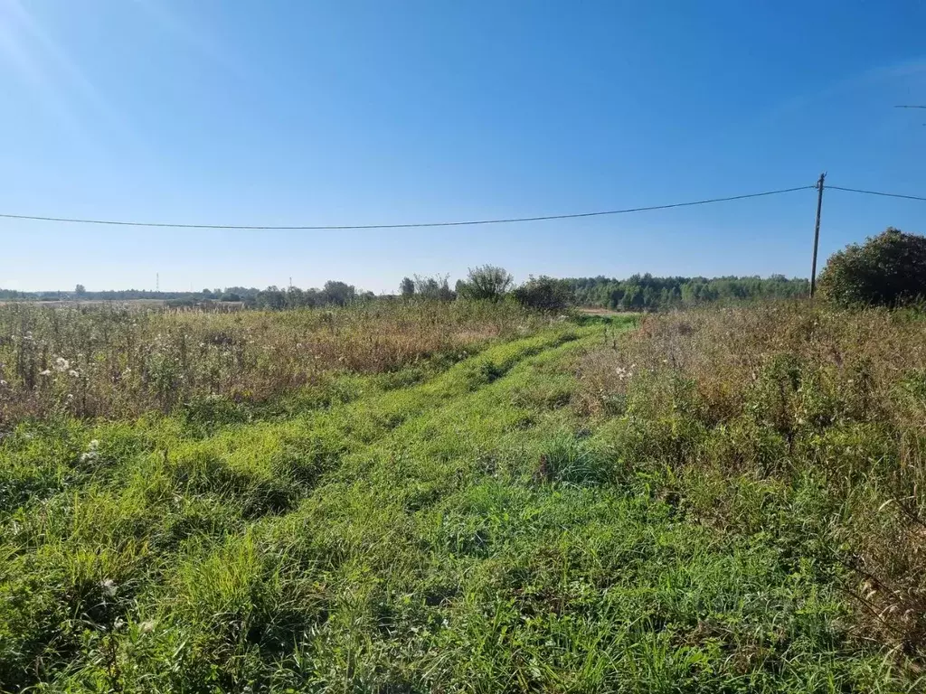 Участок в Московская область, Шаховская городской округ, д. Коротнево  ... - Фото 1