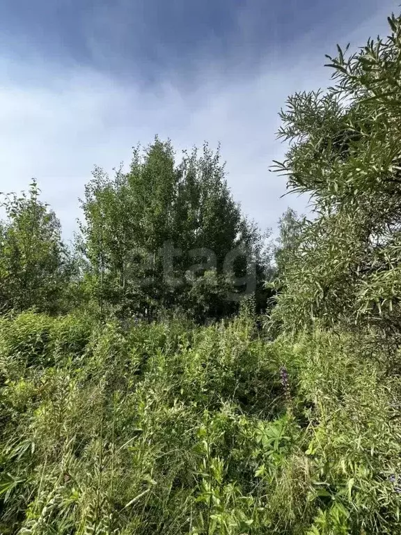 Участок в Санкт-Петербург Горелово тер., ул. Дачная (8.0 сот.) - Фото 1