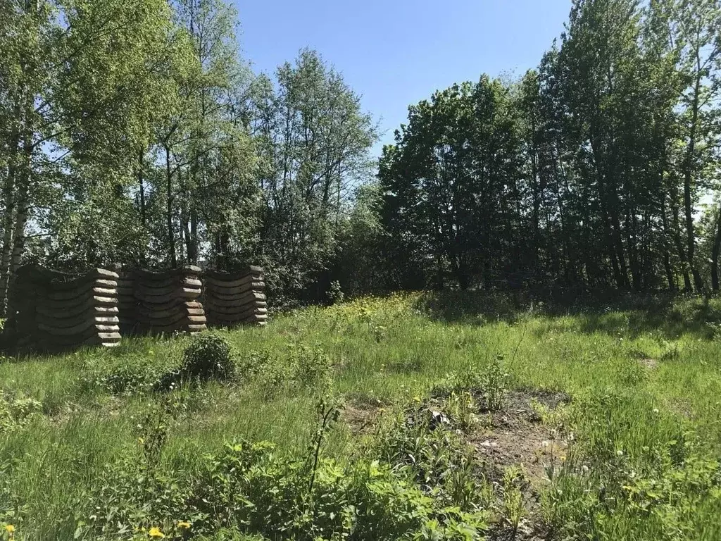 Участок в Московская область, Химки городской округ, д. Лигачево ул. ... - Фото 1