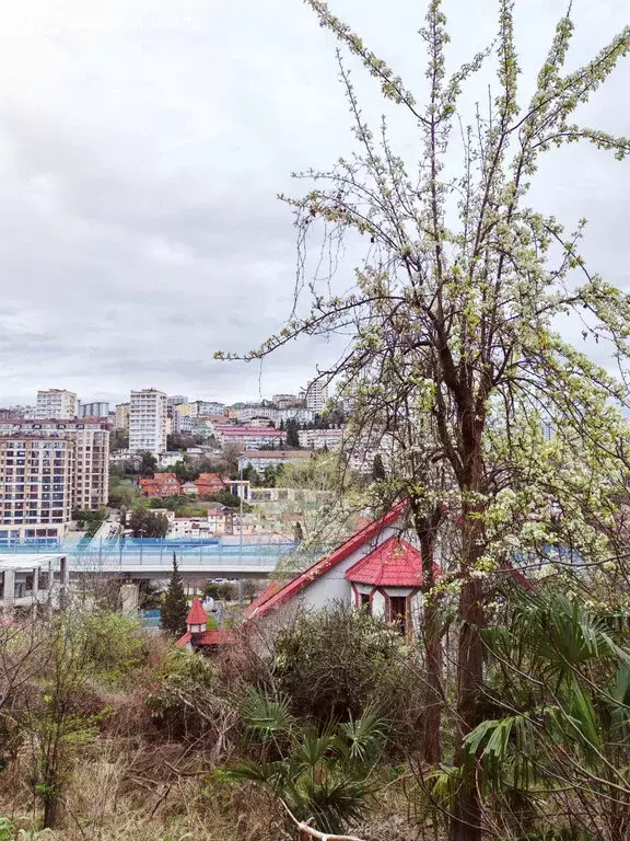 Участок в Сочи, микрорайон Новый Сочи, Калужская улица, 20 (5 м) - Фото 1