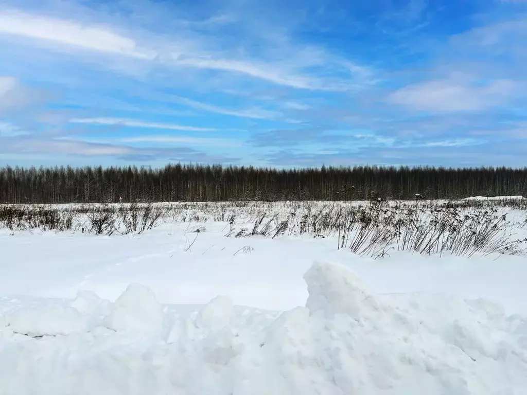 Участок в Московская область, Раменский муниципальный округ, Оттепель ... - Фото 2