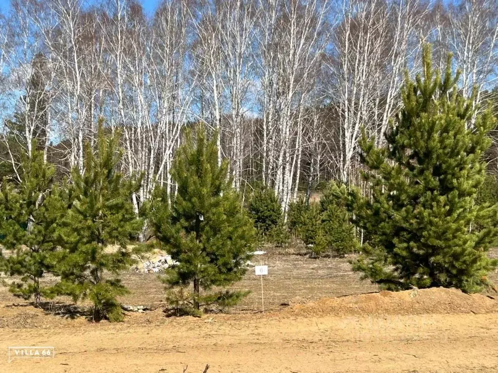 Участок в Свердловская область, Белоярский городской округ, пос. ... - Фото 0