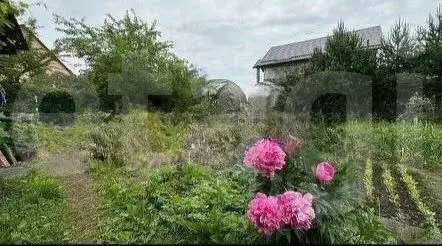 Участок в Калининградская область, Калининград Радуга СНТ, ул. 3-я ... - Фото 2