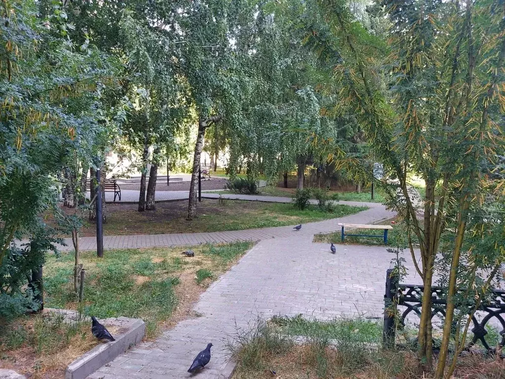 1-к кв. Татарстан, Казань ул. Курашова, 20 (45.7 м) - Фото 1