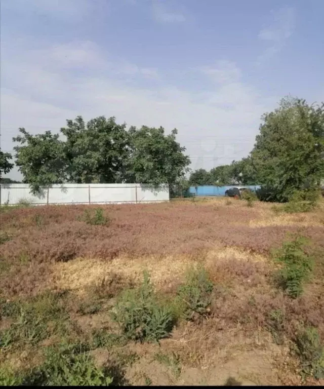 Участок в Краснодарский край, Щербиновский район, Екатериновское ... - Фото 2