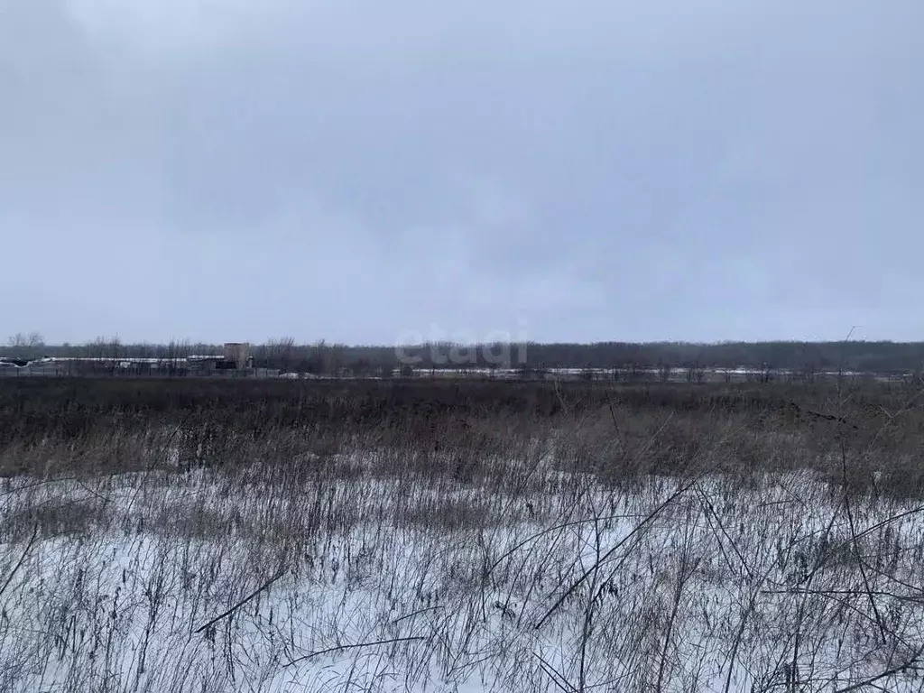 Участок в Ростовская область, Аксайский район, Старочеркасская ст-ца ... - Фото 1