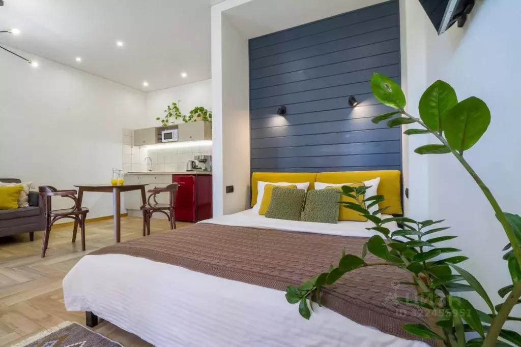 Студия Краснодарский край, Новороссийск ул. Шевченко, 22 (35.0 м) - Фото 2