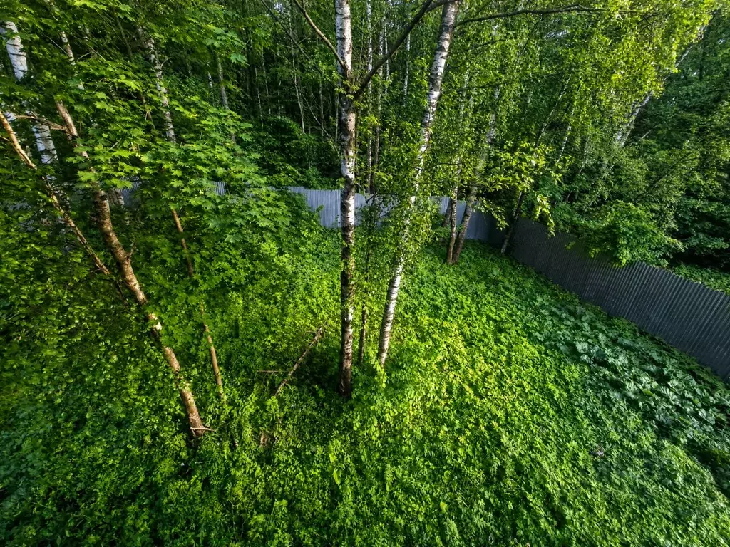 Дом в Тульская область, Тула городской округ, д. Самылинка, Дорожник ... - Фото 2