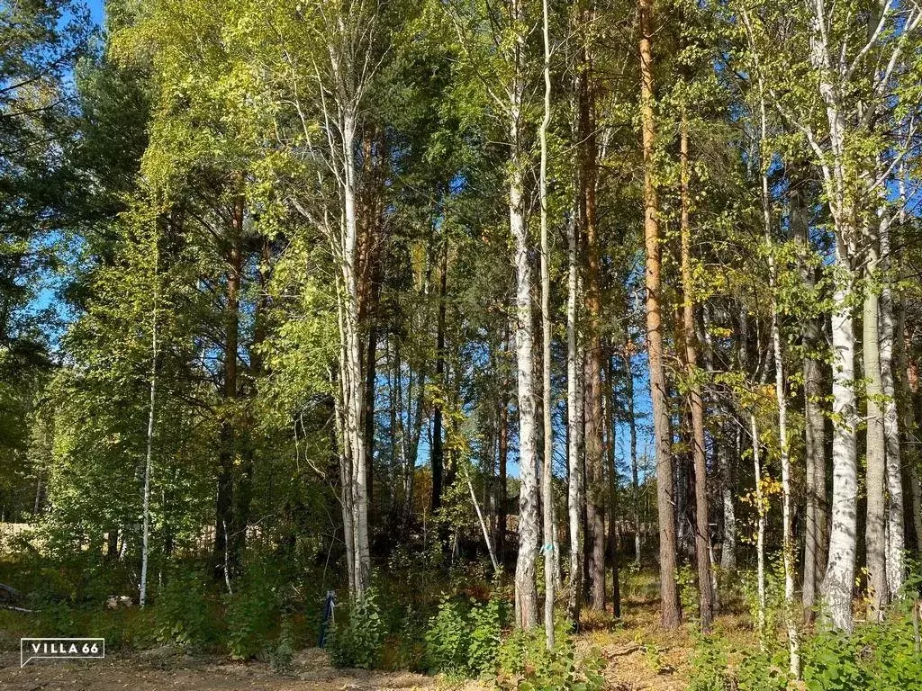 Участок в Свердловская область, Сысертский городской округ, пос. ... - Фото 0