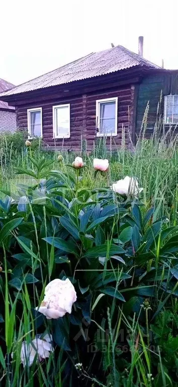 Дом в Алтайский край, Первомайский район, с. Боровиха ул. 2-я ... - Фото 2