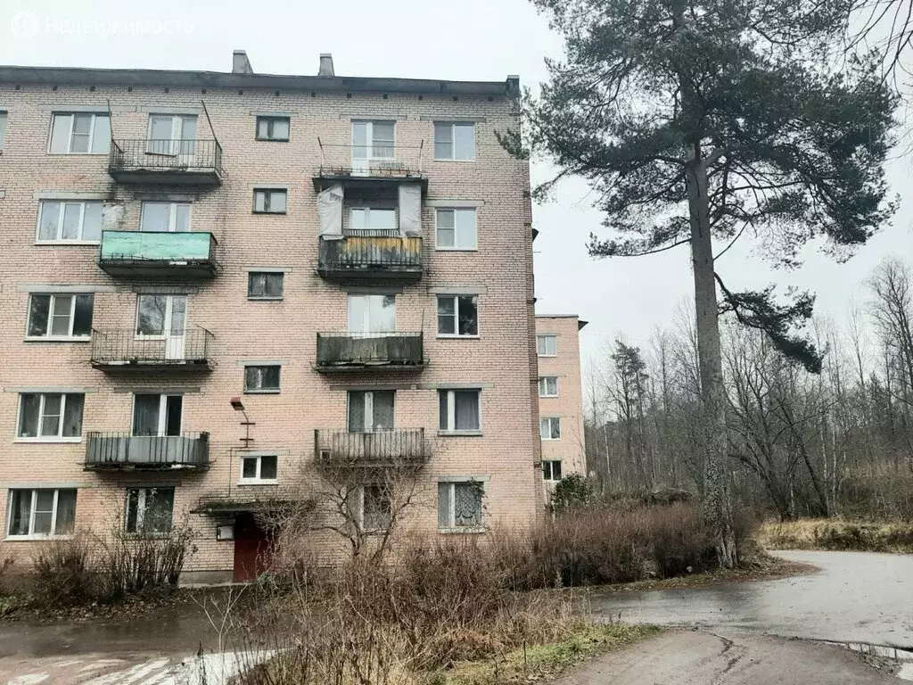 1-комнатная квартира: городской посёлок Кузнечное, улица Гагарина, 4 .,  Купить квартиру Кузнечное, Приозерский район, ID объекта - 30070639896