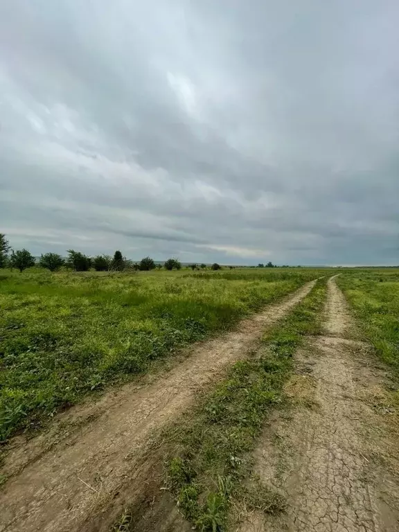 Участок в Чеченская республика, Грозный пос. Алхан-Чурт, ул. ... - Фото 1
