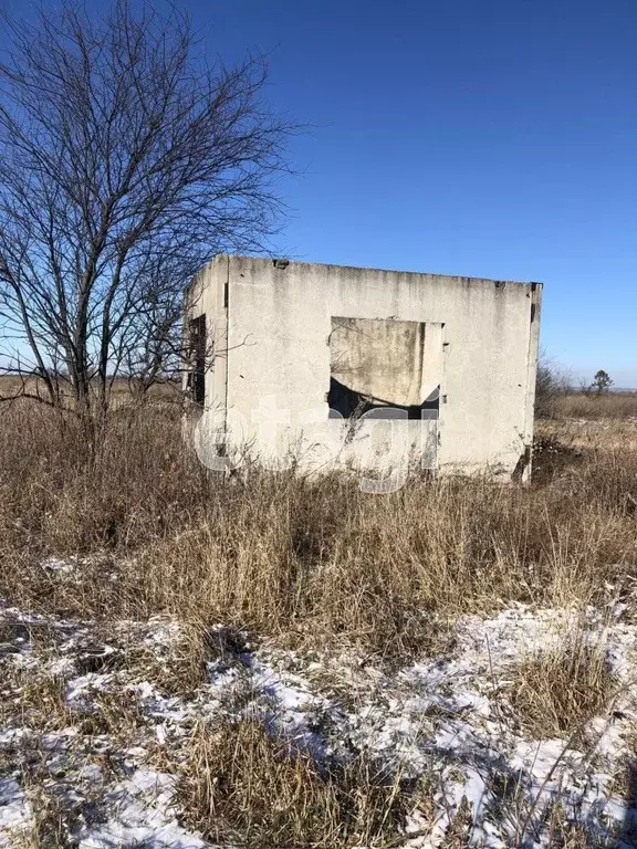 Участок в Амурская область, Благовещенский район, пос. Заречный  ... - Фото 1