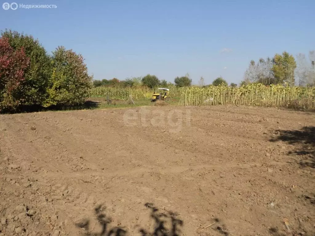 Участок в Амурская область, Тамбовский муниципальный округ, село ... - Фото 1