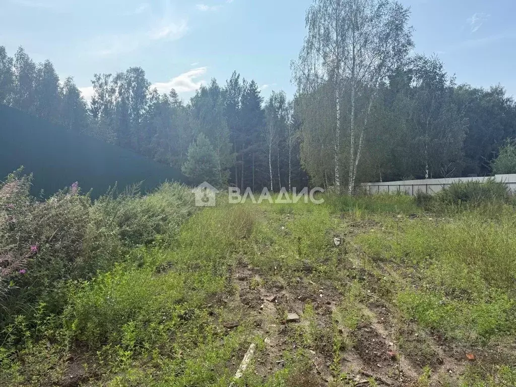 Участок в Ивановская область, Ивановский район, Беляницкое с/пос, д. ... - Фото 1