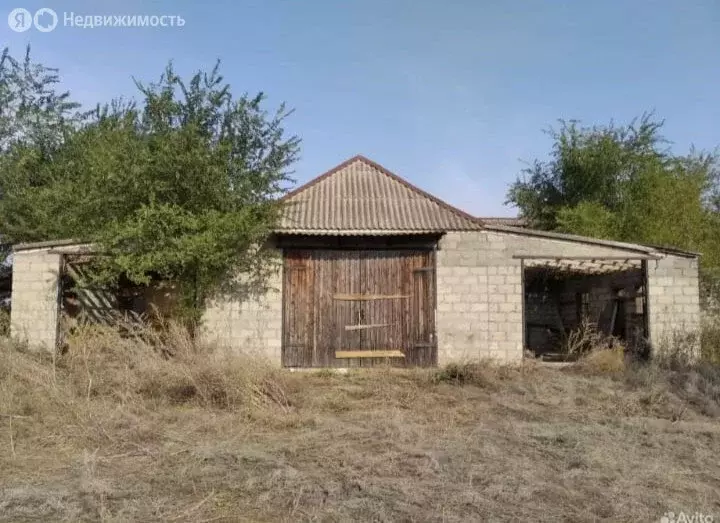 Участок в Волгоградская область, Суровикино (58.53 м) - Фото 1