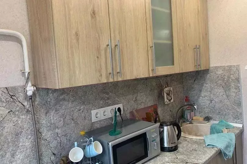 1-к кв. Псковская область, Псков ул. Максима Горького, 9 (38.0 м) - Фото 1
