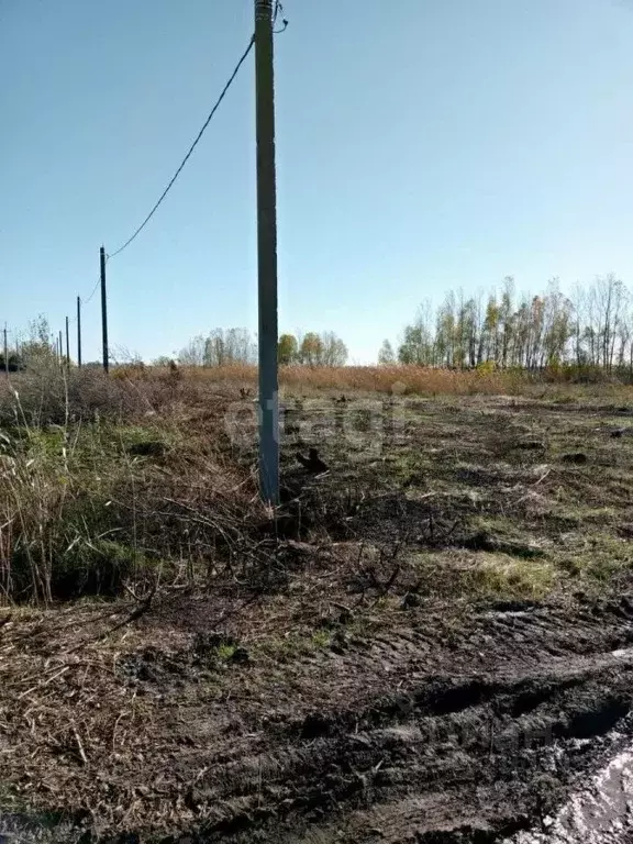 Участок в Ростовская область, Азовский район, Елизаветинское с/пос, ... - Фото 1