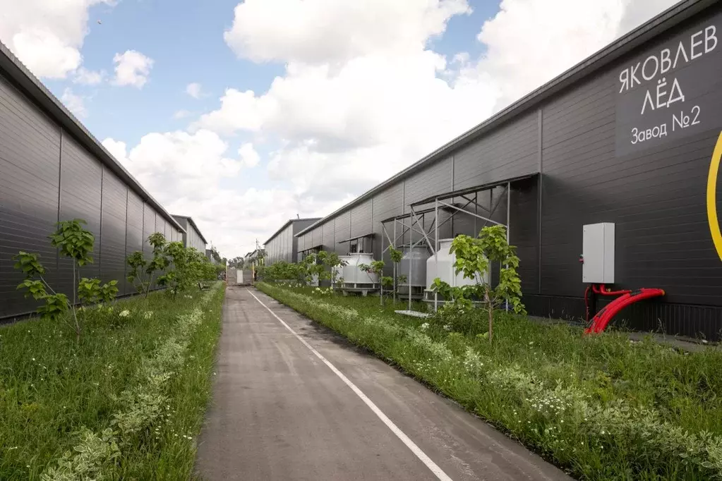 Помещение свободного назначения в Воронежская область, Новоусманский ... - Фото 2