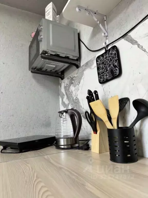 Дом в Тыва, Дзун-Хемчикский кожуун, с. Баян-Тала  (60 м) - Фото 2