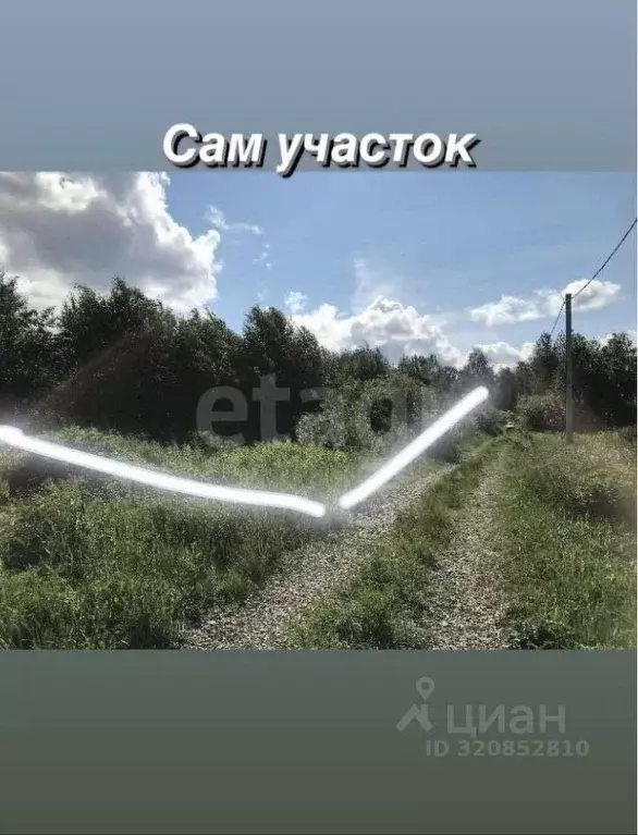 Участок в Тюменская область, Нижнетавдинский район, Сотовик садовое ... - Фото 0