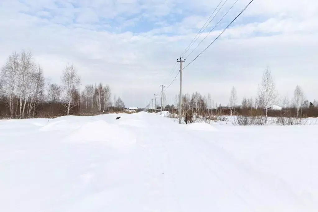 Участок в Тюменская область, Тюмень Поле Чудес садовое товарищество, ... - Фото 1