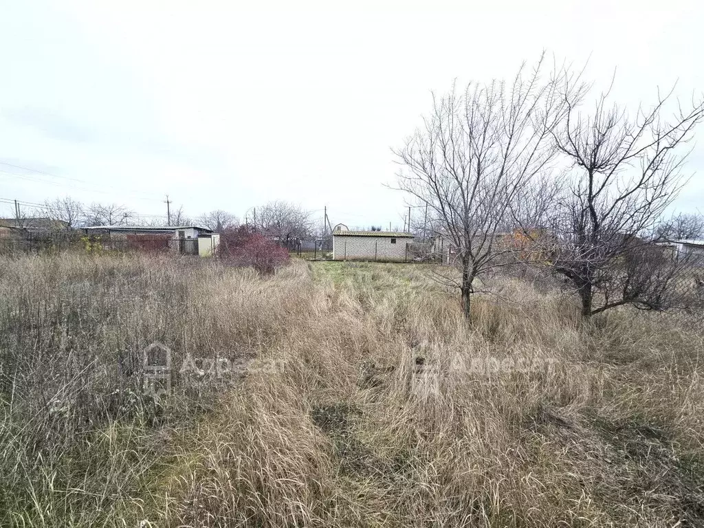 Участок в Волгоградская область, Городищенский район, Ерзовское ... - Фото 1