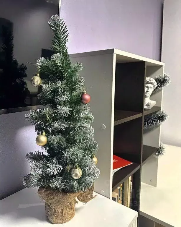 1-к кв. Москва ул. Трехполье, 6к1 (20.0 м) - Фото 1