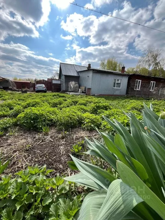 Дом в Томская область, Томск Западный пер., 41 (60 м) - Фото 2