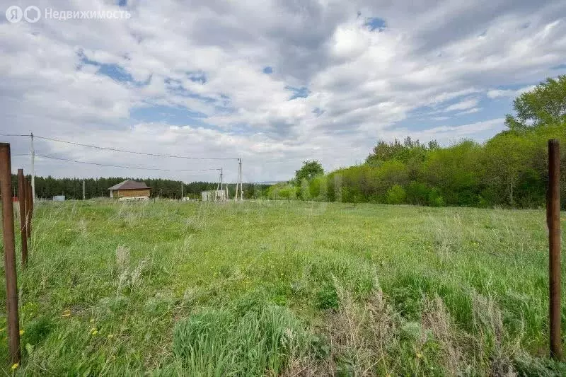 Участок в Тукаевский район, Малошильнинское сельское поселение, ... - Фото 2