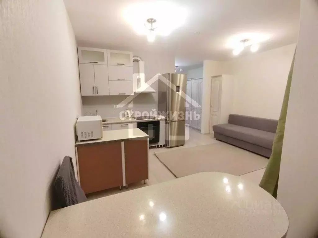 Студия Свердловская область, Екатеринбург ул. Металлургов, 63 (28.1 м) - Фото 1