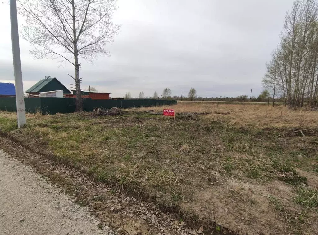 Участок в Новосибирская область, Колыванский район, д. Юрт-Ора ул. ... - Фото 1