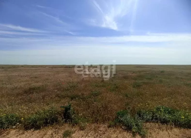 Участок в Крым, Черноморский район, с. Новосельское ул. Ленина (5.0 ... - Фото 0