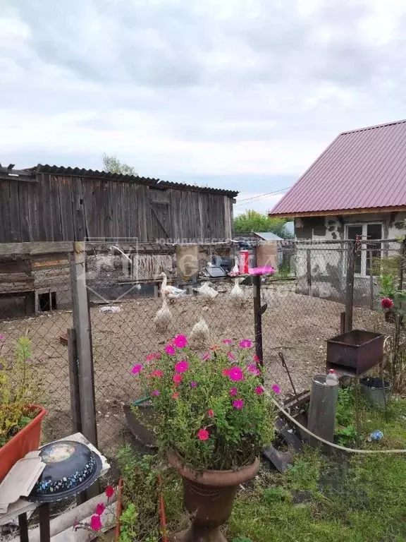 Дом в Кемеровская область, Кемерово Сызранская ул. (48 м) - Фото 2