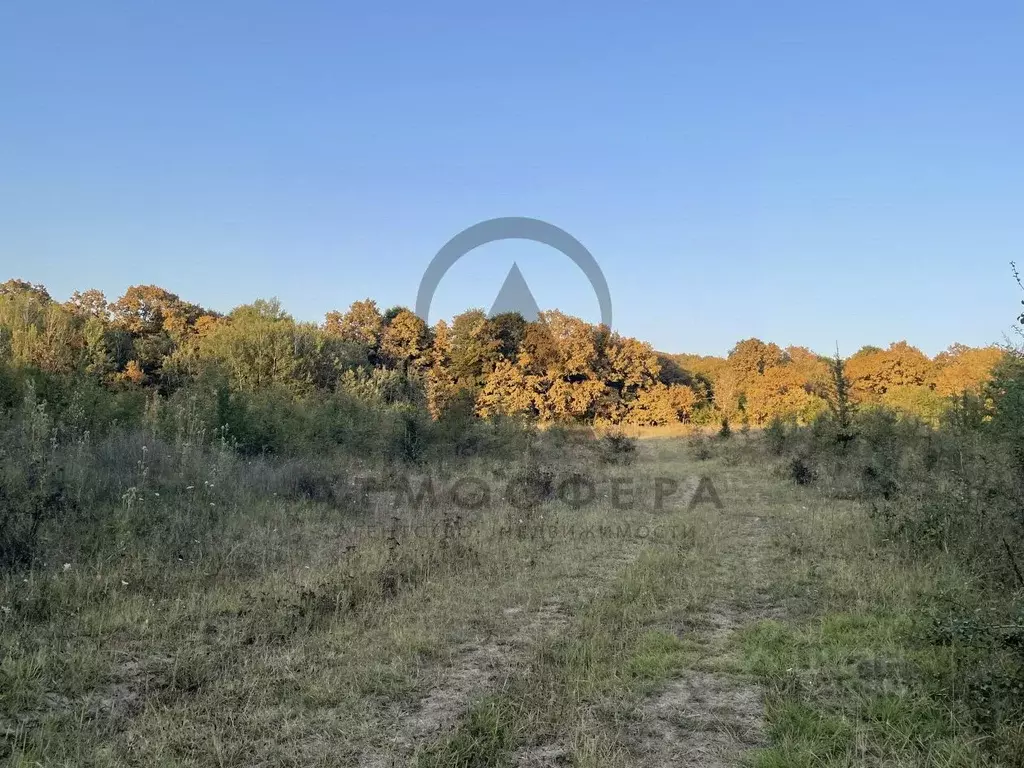 Участок в Краснодарский край, Апшеронский район, Кабардинское с/пос, ... - Фото 2