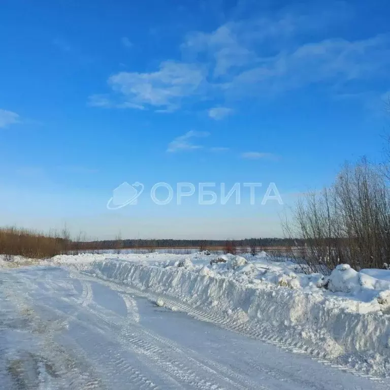 Участок в Тюменская область, Тюмень Ялуторовский тракт, 11-й км (8.0 ... - Фото 1